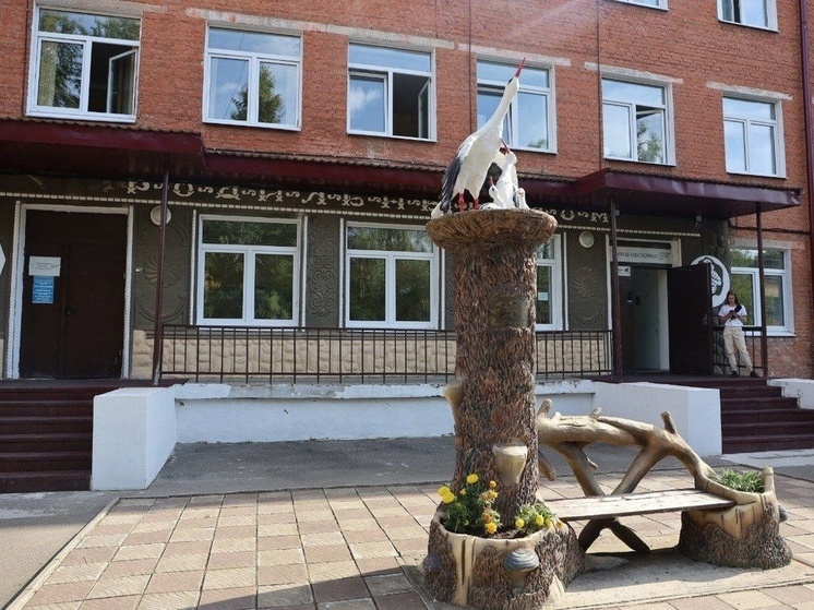 В Серпухове подвели итоги акушерского марафона за июль
