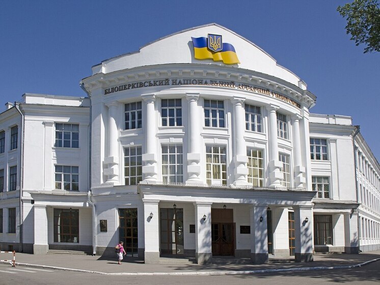 На Украине случилась очередная «тихая ночь», то есть по военным объектам Незалежной было запущено всего 72 БПЛА