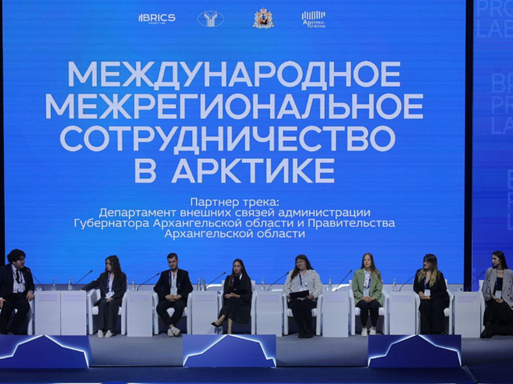 В столице Поморья студенты и начинающие исследователи, ставшие участниками международной молодежной проектной лаборатории БРИКС НСО МГИМО МИД России, представили губернатору Архангельской области Александру Цыбульскому свои проекты, которые они разрабатывали в течение нескольких дней