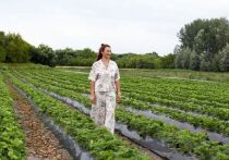 Алла Василенко выиграла конкурс «Агростартап», оформила соцконтракт и теперь занимается любимым делом
Проект белгородки Аллы Василенко «Создание фермерского хозяйства в Томаровке» стал победителем третьего тура регионального проекта «Акселерация малого и среднего бизнеса»