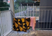 Этим летом горожане активно обмениваются в чатах фотографиями с сохнущим бельем в подъездах