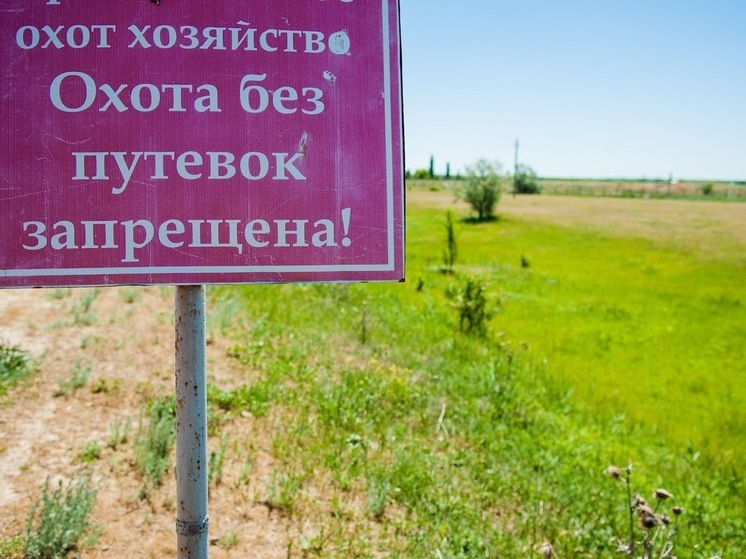 Для волгоградских охотников установили квоты и лимит на добычу
