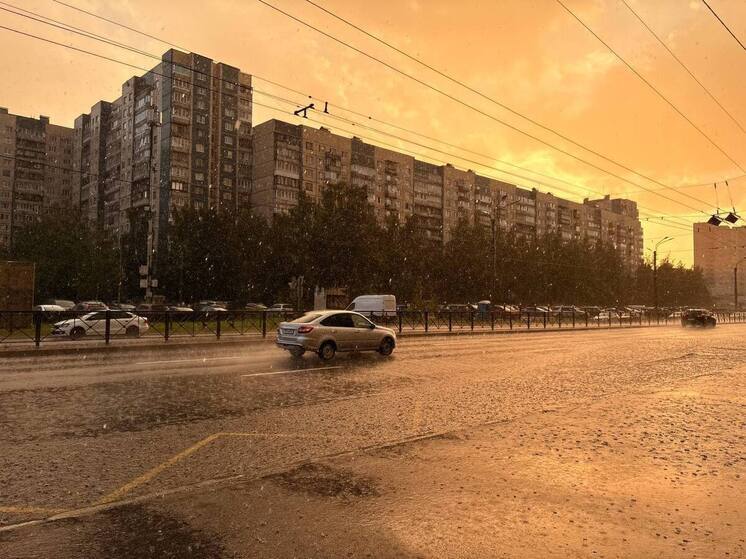 Дождливая суббота сменится тёплым воскресеньем в Петербурге