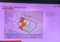 Петербуржцы, выступающие против строительства асфальтобетонного завода в промзоне Белоостров, решили использовать искусственный интеллект для создания статьи с якобы мнением «эксперта»