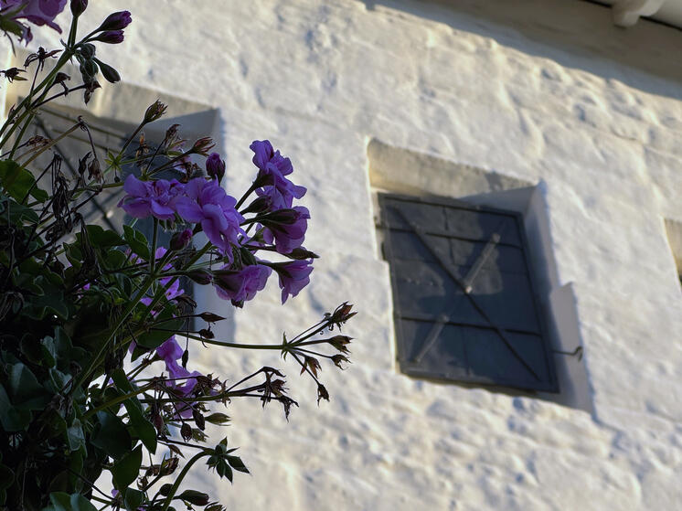 Познакомится с бытом богатого купца приглашают псковичей в эти выходные