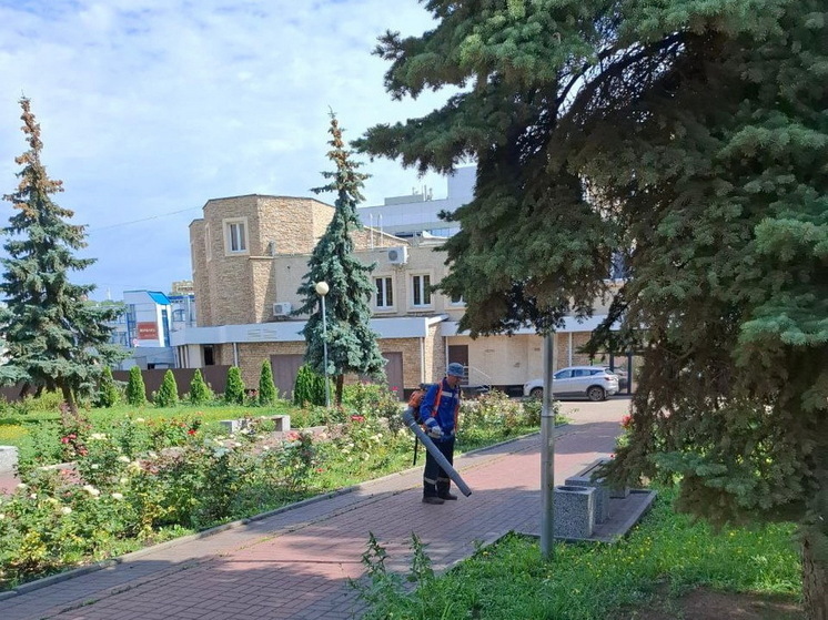 В Курске 64 работника и 55 спецмашин приводят улицы в порядок