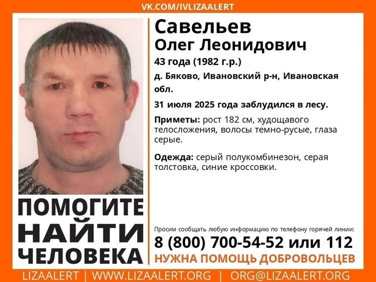 Ивановский грибник ушел в лес и пропал