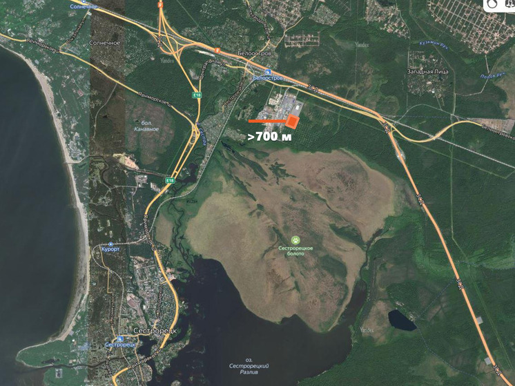 Борцы с АБЗ в Белоострове решили доказать свою правоту с использованием нейросети