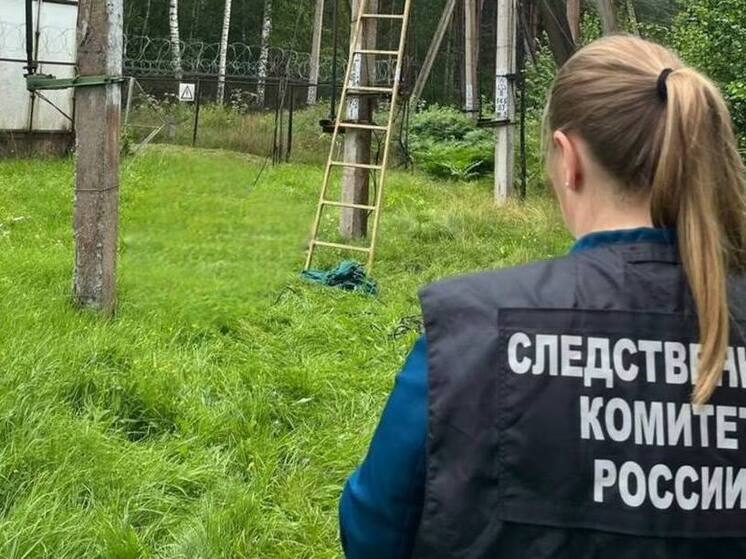 Пскович погиб при производстве работ на линии электропередач в Гдовском районе