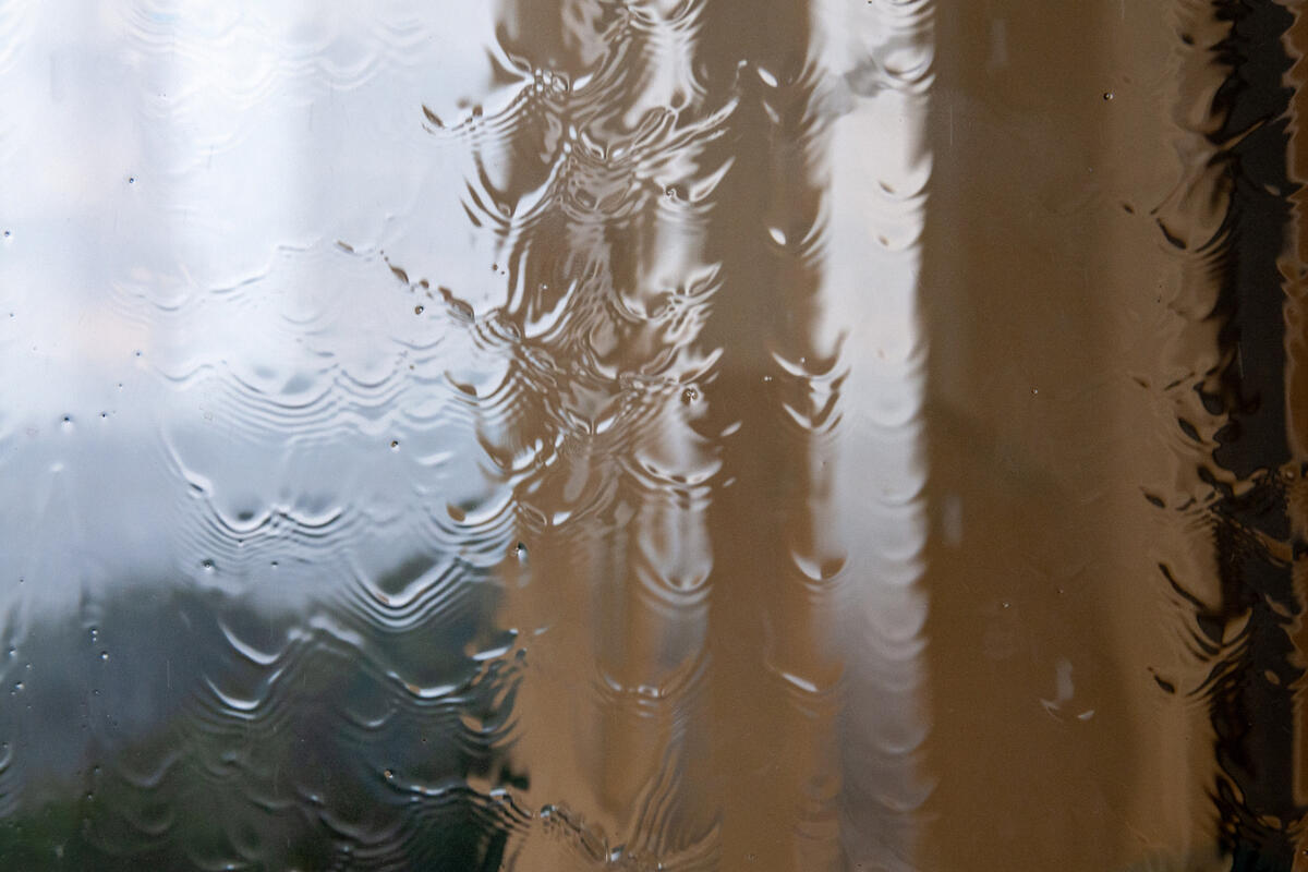 Изображение: Svetlana Vozmilova / Global Look Press