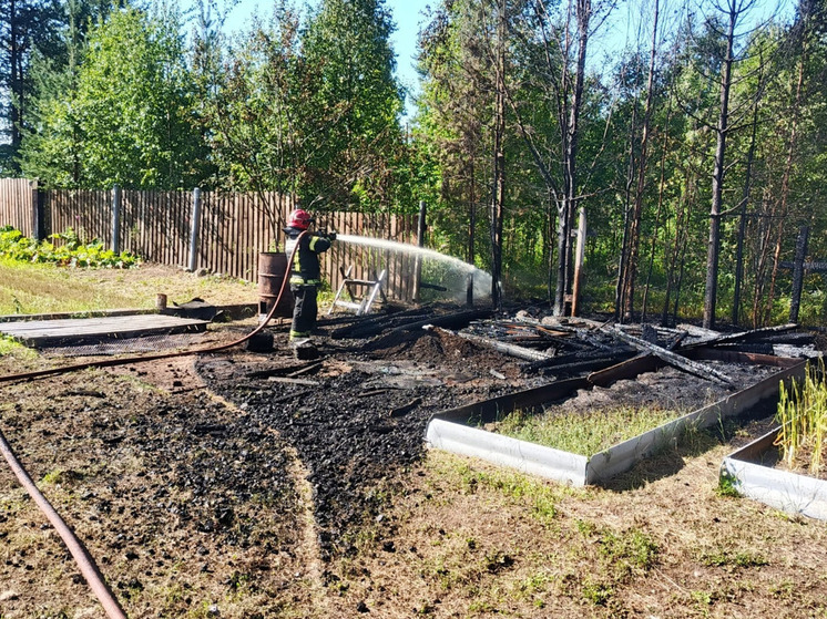 Под Апатитами пожарные предотвратили распространение лесного пожара