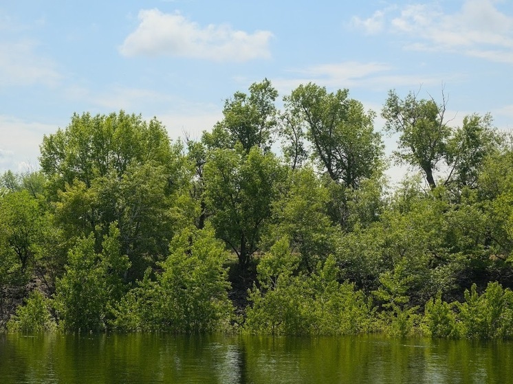 Народные приметы: чего нельзя делать 2 августа, в Ильин день