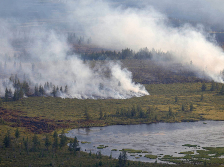 Аэромобильную группу МЧС привлекли к тушению лесного пожара на западной Чукотке