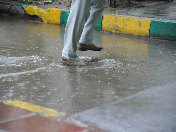 В Волгоградскую область 2 августа придет дождь с грозой при +37 градусах