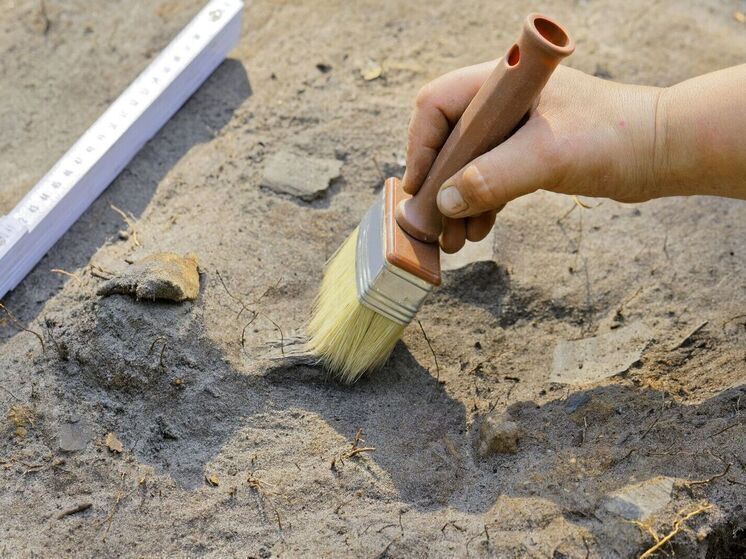 СМИ: на месте раскопок на севере Польши может находиться Янтарная комната