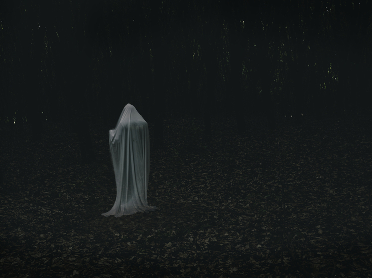 Что скрывает наш мозг: учёные объяснили, почему мы видим привидений