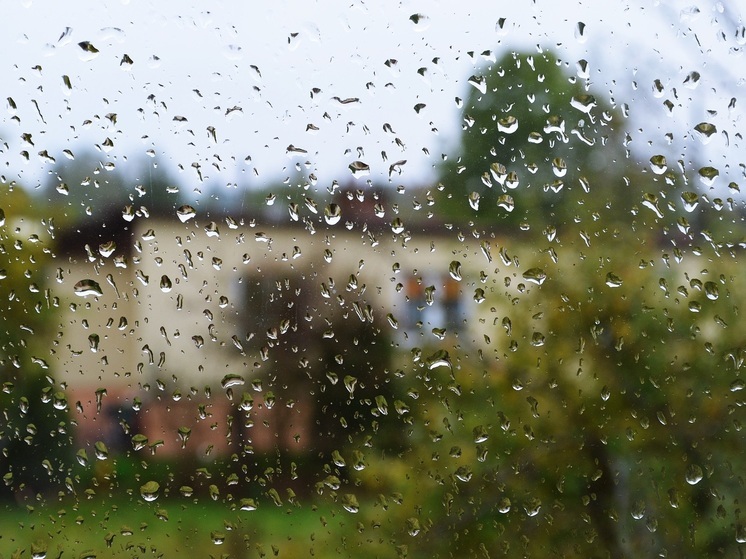 Новая неделя в Хабаровском крае начнется с дождей