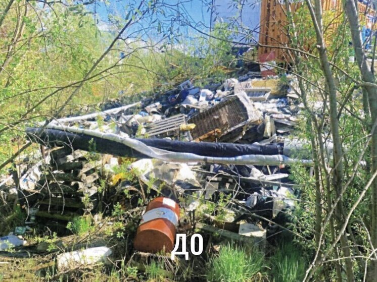 2,7 тысячи кубометров мусора убрали на Ямале в июле