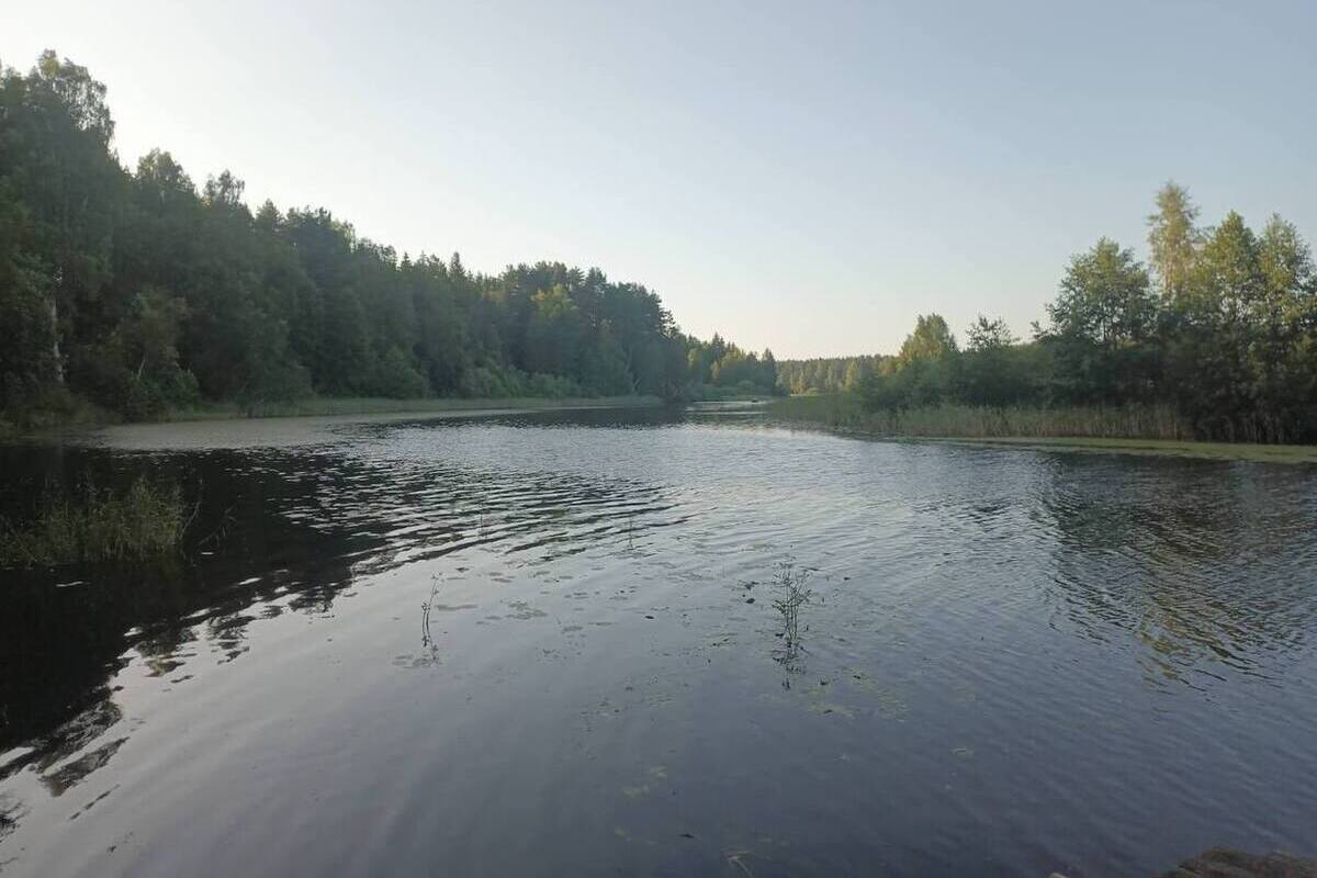 Два ребенка пострадали в результате столкновения катера и лодки на водоеме в Тверской области