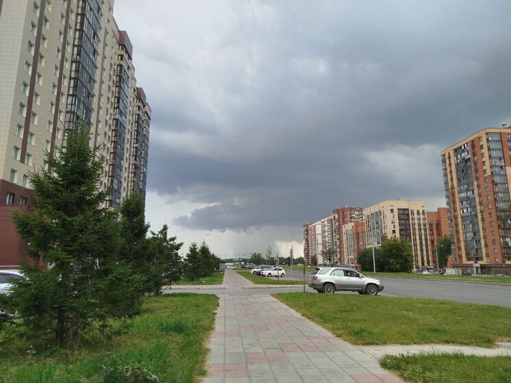 Новосибирцев предупредили о крупном граде и грозах 3 августа