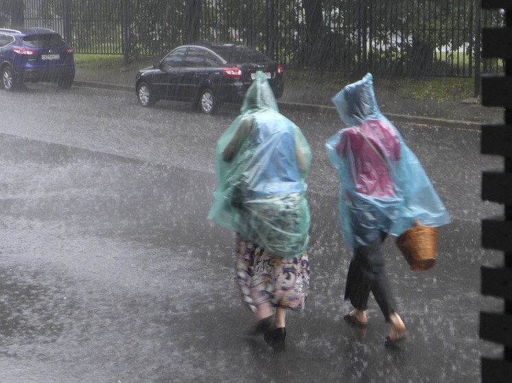 Сильные ливни ожидаются в столице и Подмосковье с вечера понедельника и во вторник. В Московском регионе выпадет половина месячной нормы осадков