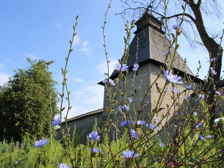 Музейный комплекс «Палаты у Сокольей башни» приглашает на обзорную экскурсию