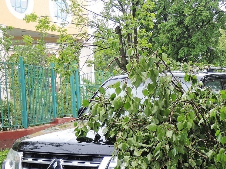 Подмосковье в ближайший час накроют кратковременный дождь, ливень и гроза