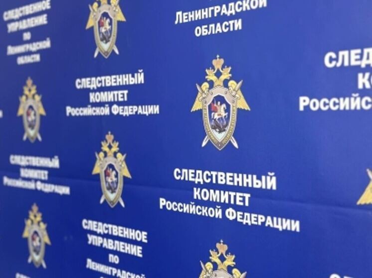 Бастрыкин заступился за пенсионерку из затопленной квартиры в Сосновом Бору