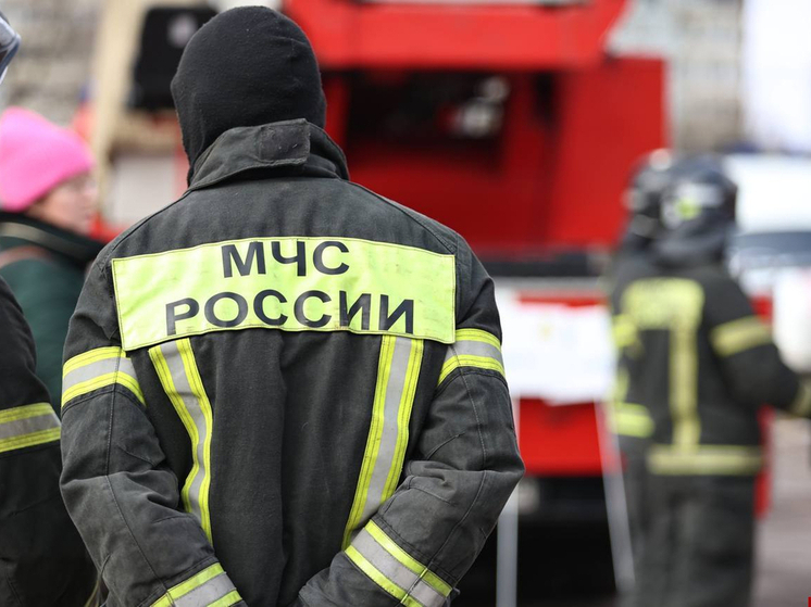 Минометная мина обнаружена вблизи деревни в Печорском округе