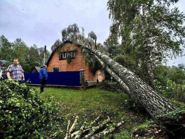 Восстановительные работы после отключений электроэнергии продолжаются: более 3 тысяч жителей области остаются без света