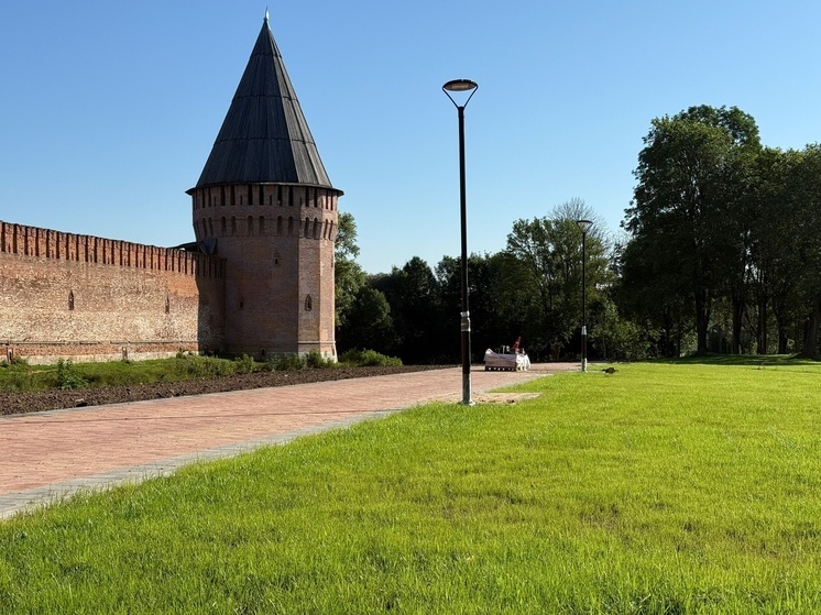 На площадке за крепостной стеной в Смоленске появится модульный кинотеатр