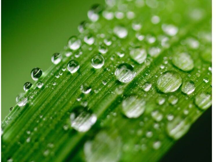 Синоптики 3 августа обещают в Смоленске прекрасную погоду