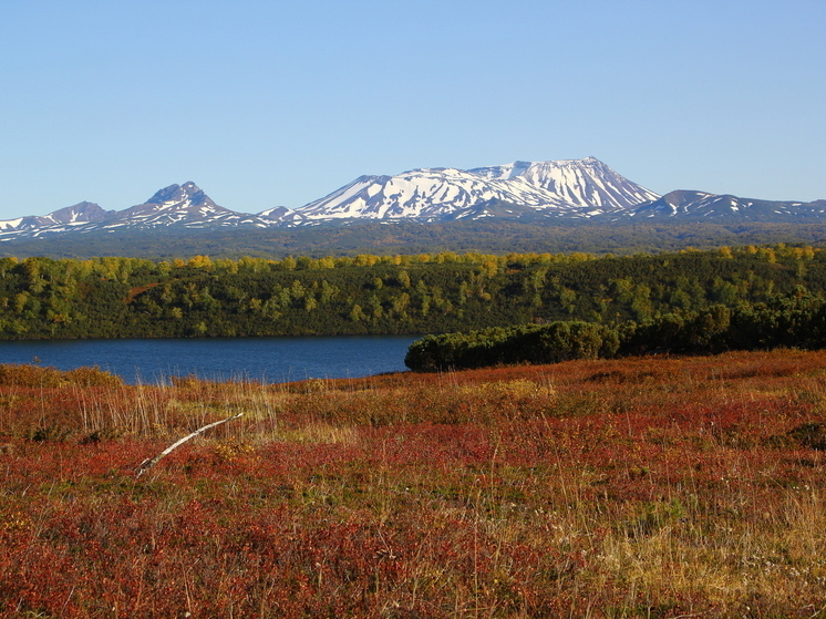 Cientista Girina: A primeira erupção do vulcão Krasheninnikov em 600 anos começou em Kamchatka