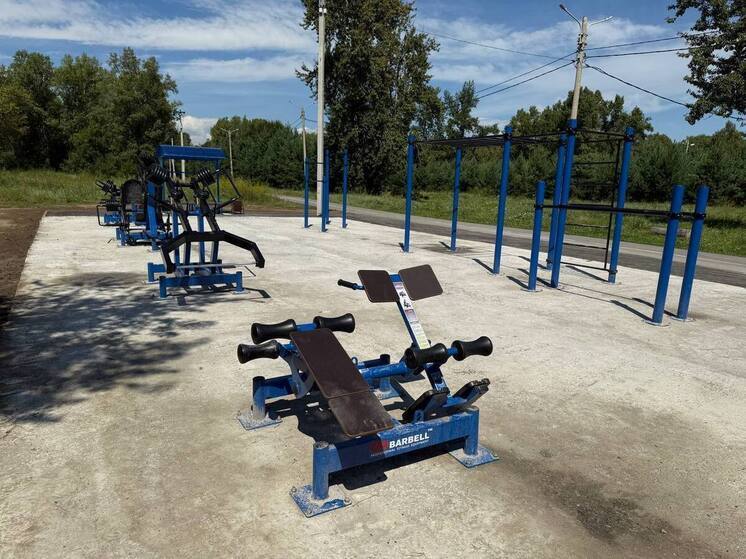 В абаканском парке поставили продуманные до мелочей спортивные тренажеры