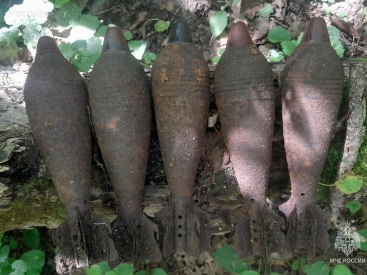 В Калужской области уничтожено шесть боеприпасов