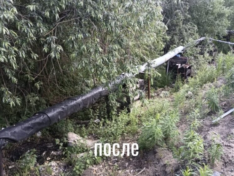 Ямал за месяц избавили от 19 свалок