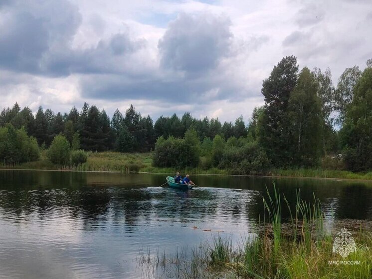 За сутки на водоёмах Владимирской области утонули два человека