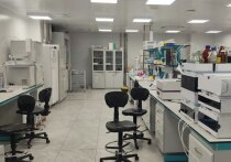 Исследователи в Новом физтехе ИТМО создали способ улучшения способности кремния излучать свет. Об этом сообщили в официальных социальных сетях Правительства Петербурга.