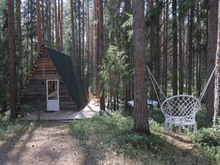 В Красноборском округе развивают экотуризм