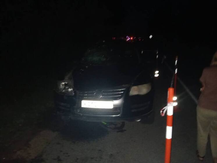 В Новгородском округе иномарка насмерть сбила мужчину и девочку на велосипедах