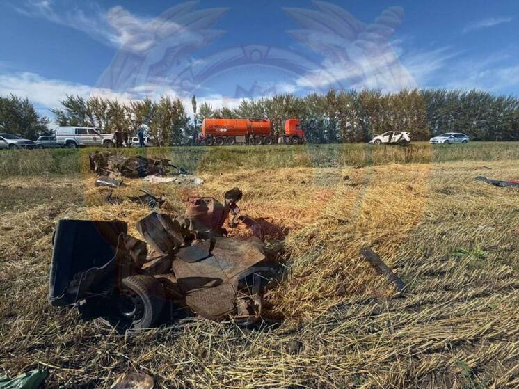 В Татарстане на трассе в ДТП погиб подросток и 22-летний пассажир