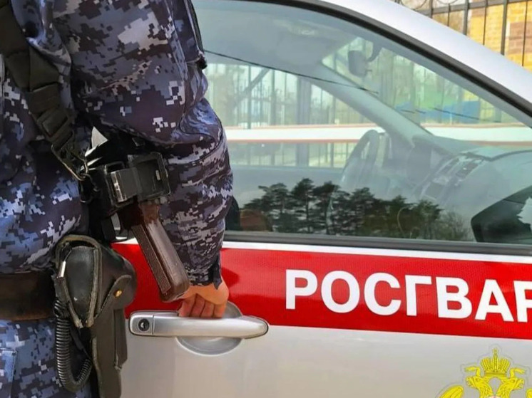 Мурманчанин пытался вынести корм для животных, но попался Росгвардии