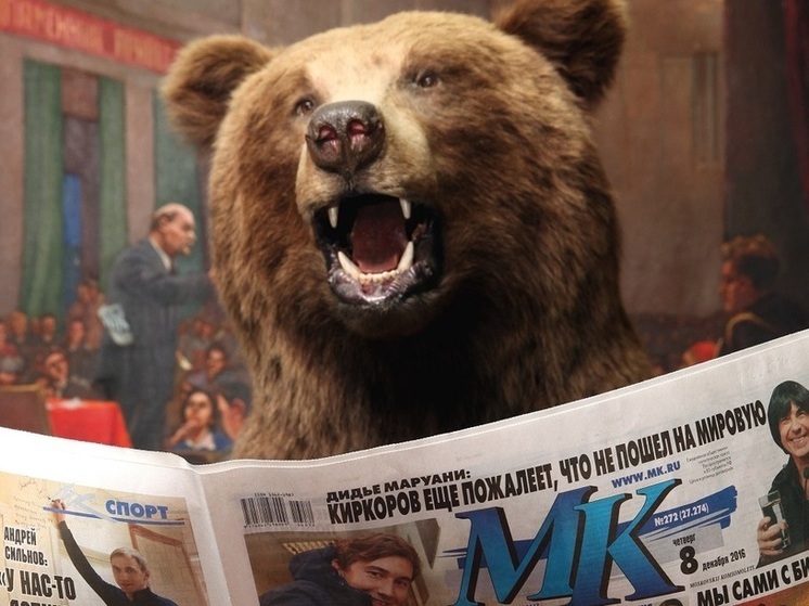 В Бурятии нахальный медведь-атеист съел подношения и распугал людей