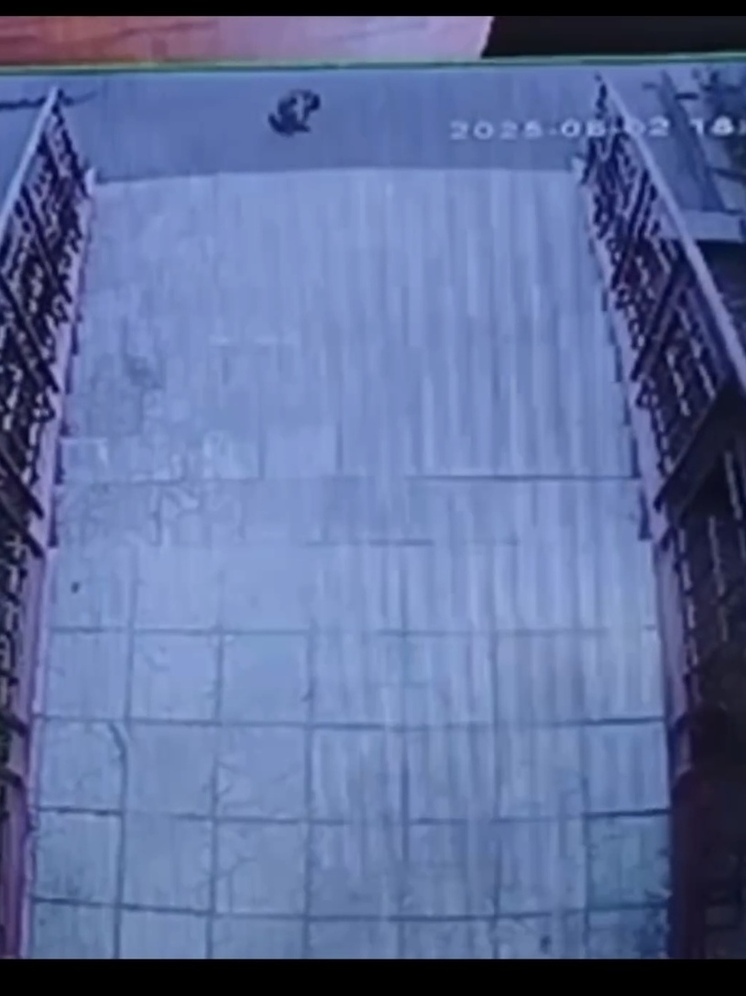 Полиция Ангарска расследует жестокое обращение с животным