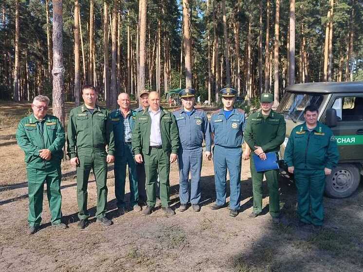 В Пензенской области действует ограничение на посещение лесов