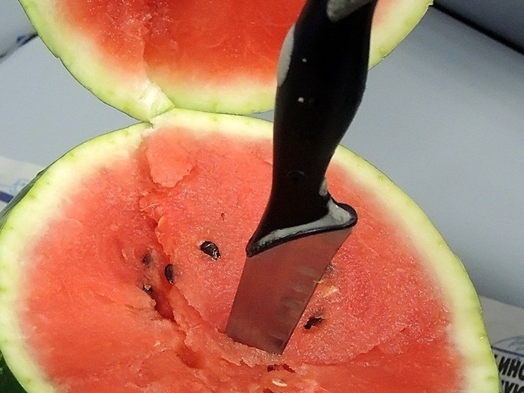 Нутрициолог Айрапетян рассказала о преимуществах и недостатках арбузной диеты