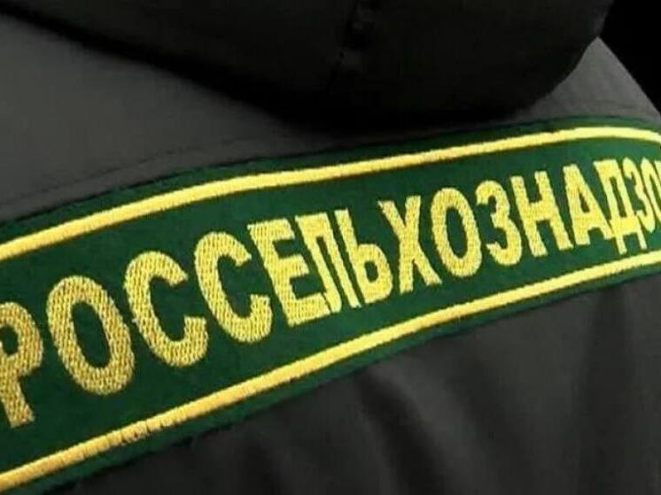 В магазине Феодосии продавали мороженое с истекшим сроком годности