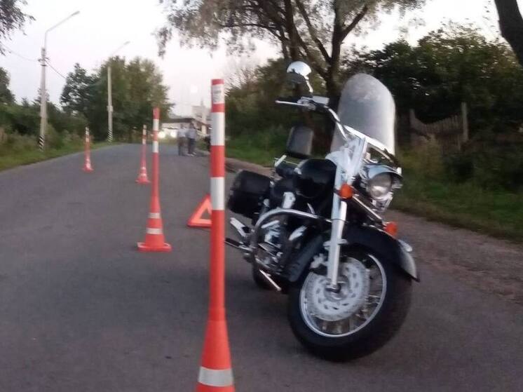 В Великом Новгороде перевернулся столкнувшийся с собакой мотоциклист