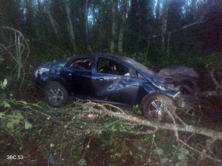 В Старорусском округе девушка на «Форде» травмировала двух мужчин