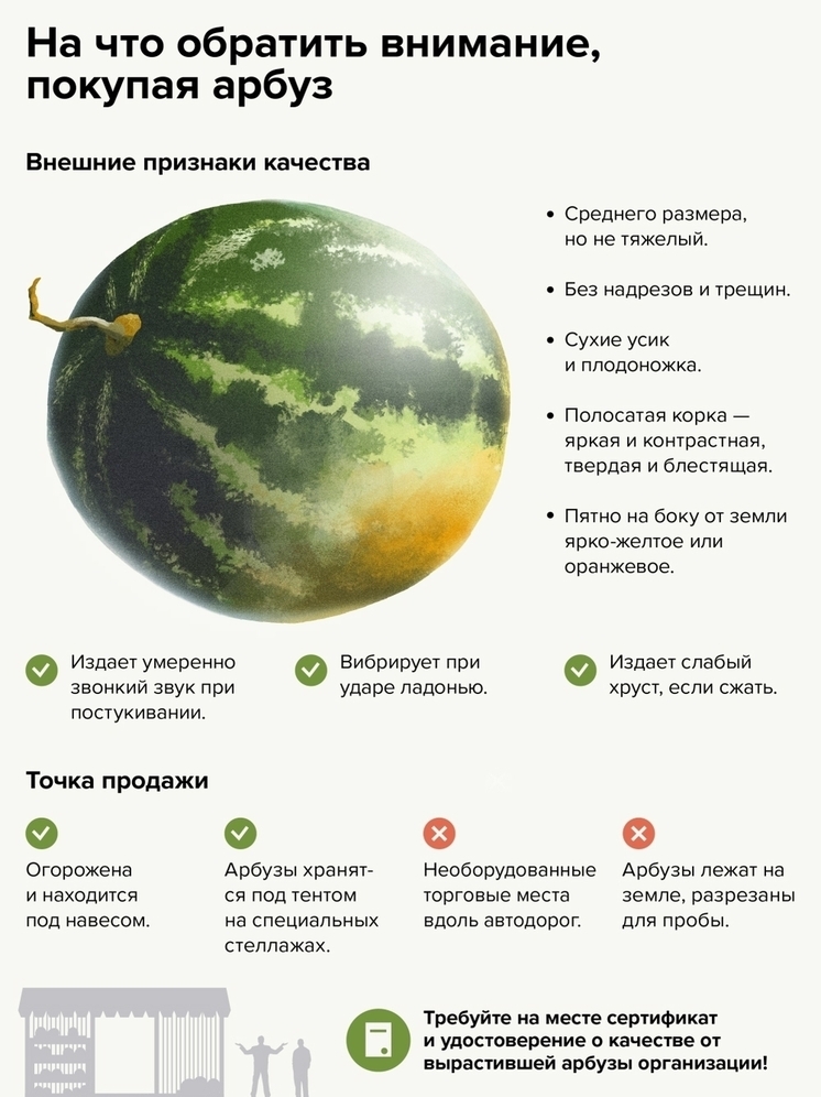 Жителям Калмыкии дали полезные советы в День арбуза